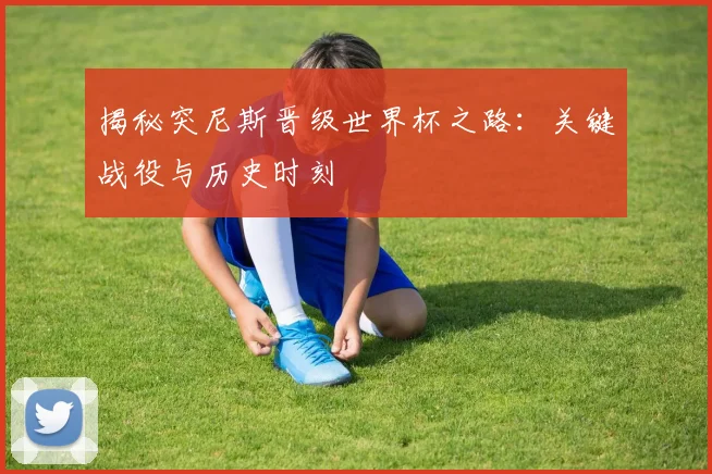 揭秘突尼斯晋级世界杯之路：关键战役与历史时刻
