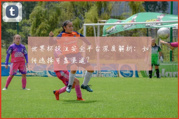 世界杯投注安全平台深度解析：如何选择可靠渠道？
